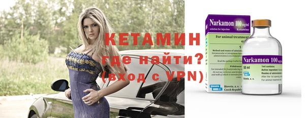 индика Дмитриев