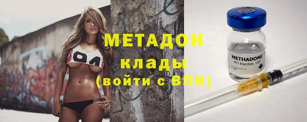 индика Дмитриев