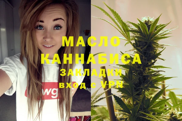 индика Дмитриев