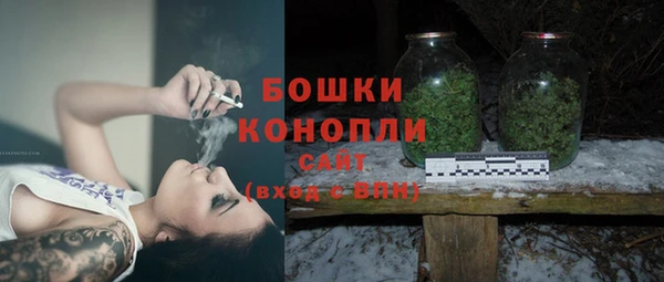 индика Дмитриев