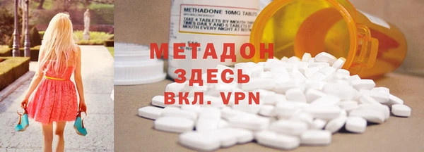 индика Дмитриев