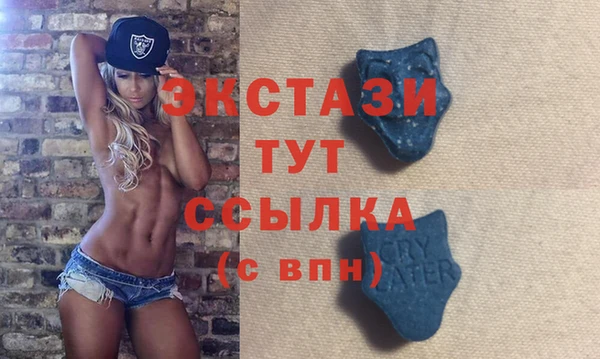 индика Дмитриев