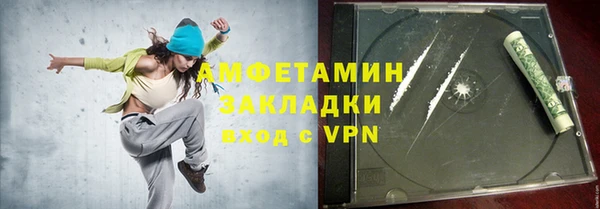 индика Дмитриев