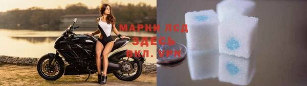 индика Дмитриев