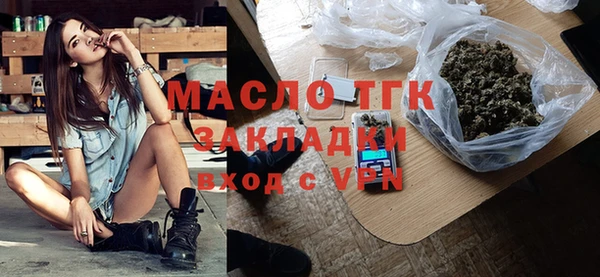 индика Дмитриев