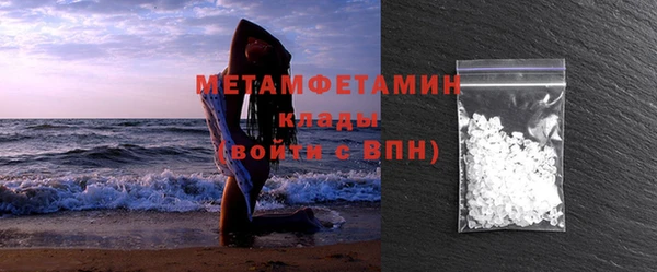 индика Дмитриев