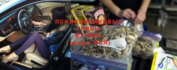 индика Дмитриев