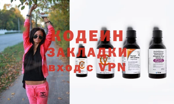 индика Дмитриев