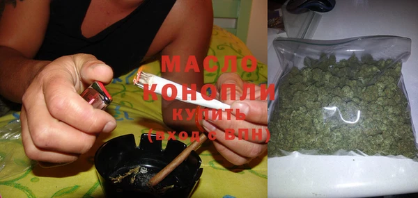 индика Дмитриев