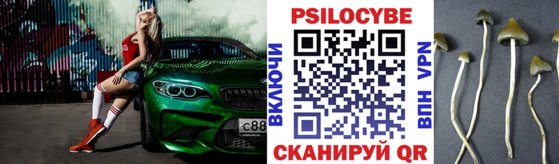 Купить  Светлоград  Псилоцибиновые грибы Magic Shrooms 